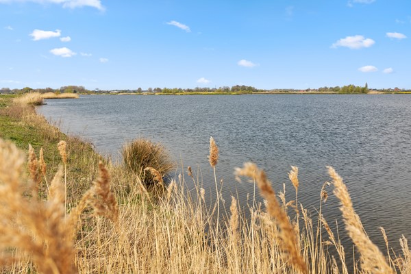 Medium property photo - Dodaarsoever 41, 2492 RZ Den Haag